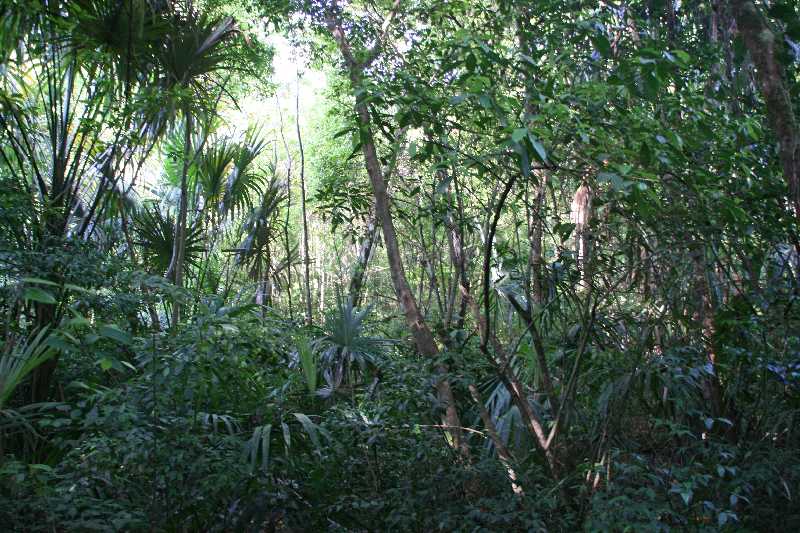 Mexico & Guatemala 2010 - 1061